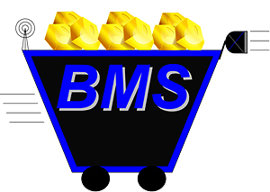 BMS Logo